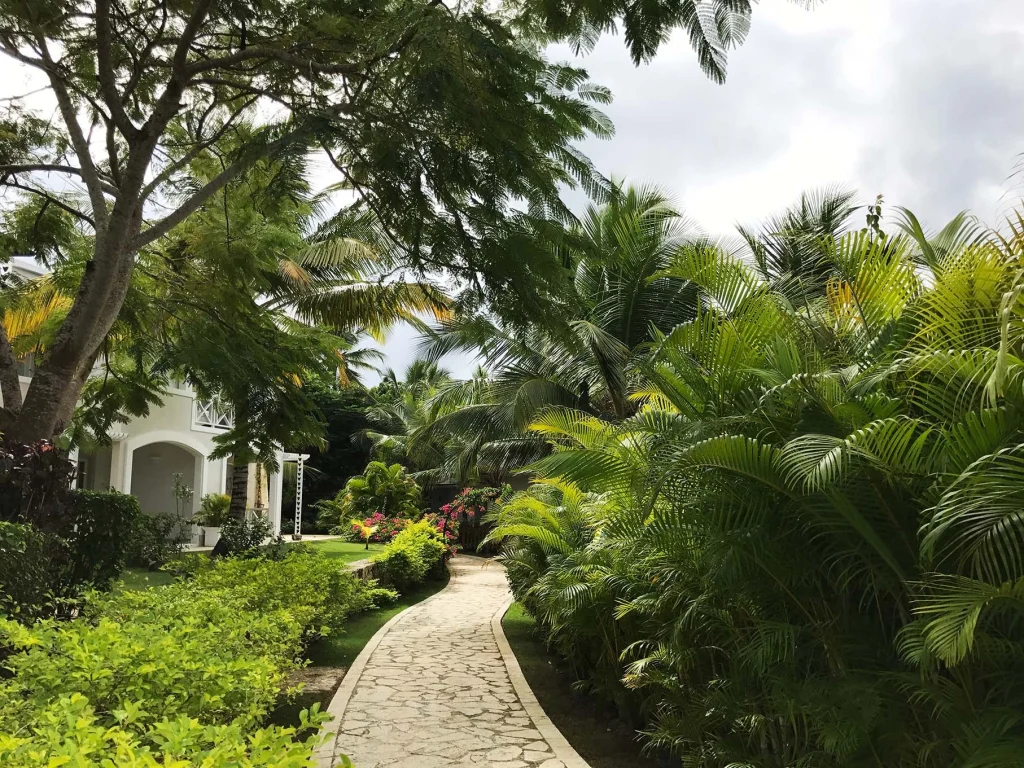 Santo Domingo’s winter warmth