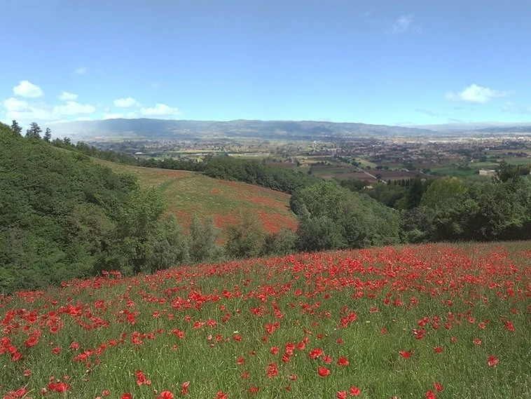I Giardini di Assisi