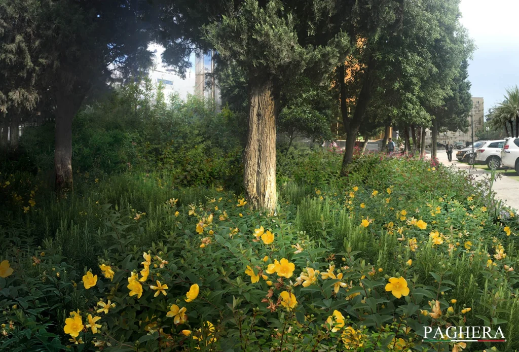 Banca Centrale dell’Azerbaijan – Giardini simbolici