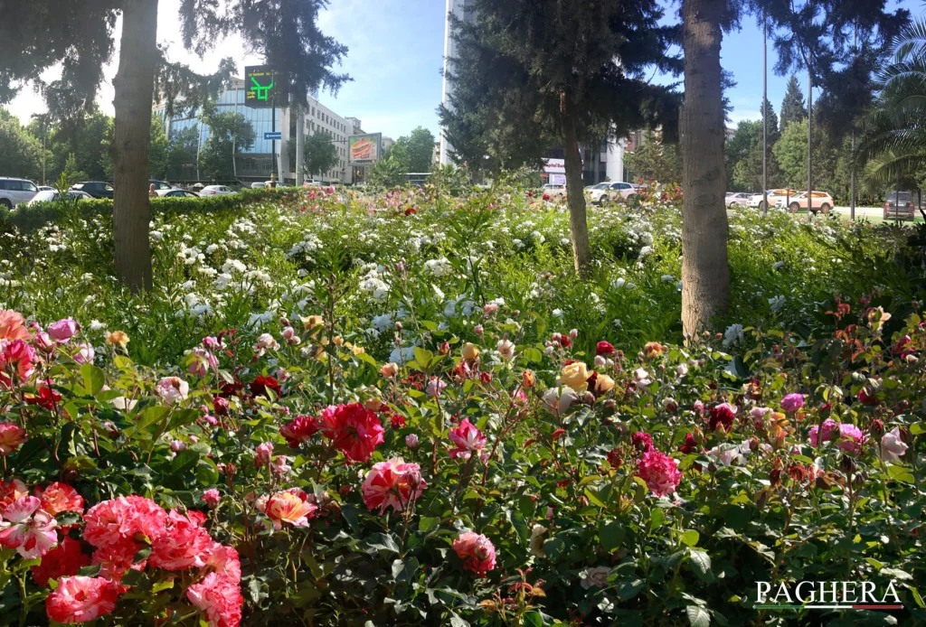 Banca Centrale dell’Azerbaijan – Giardini simbolici