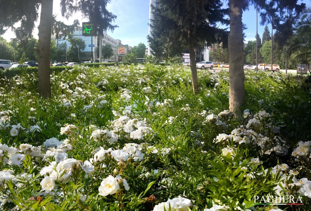 Banca Centrale dell’Azerbaijan – Giardini simbolici