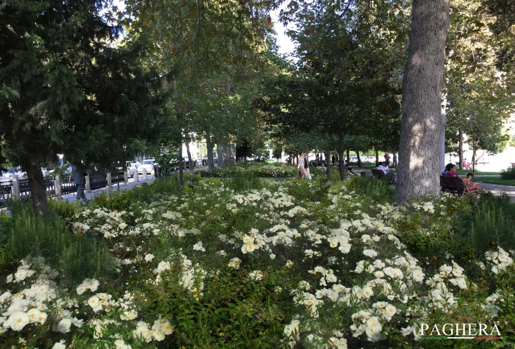 Banca Centrale dell’Azerbaijan – Giardini simbolici