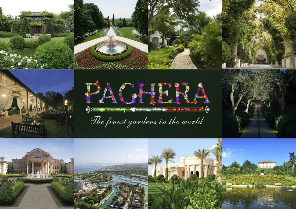 News & Events