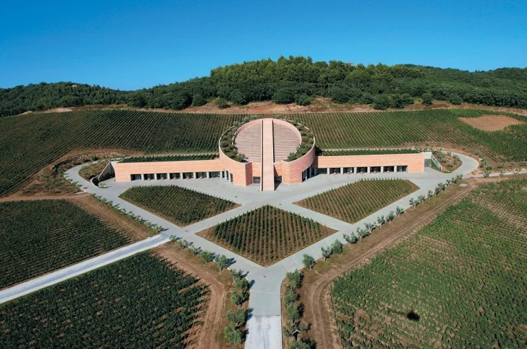 Petra Wine Cellar