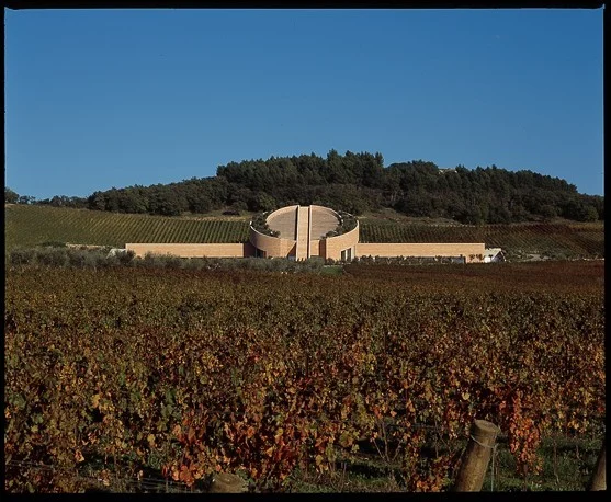 Petra Wine Cellar