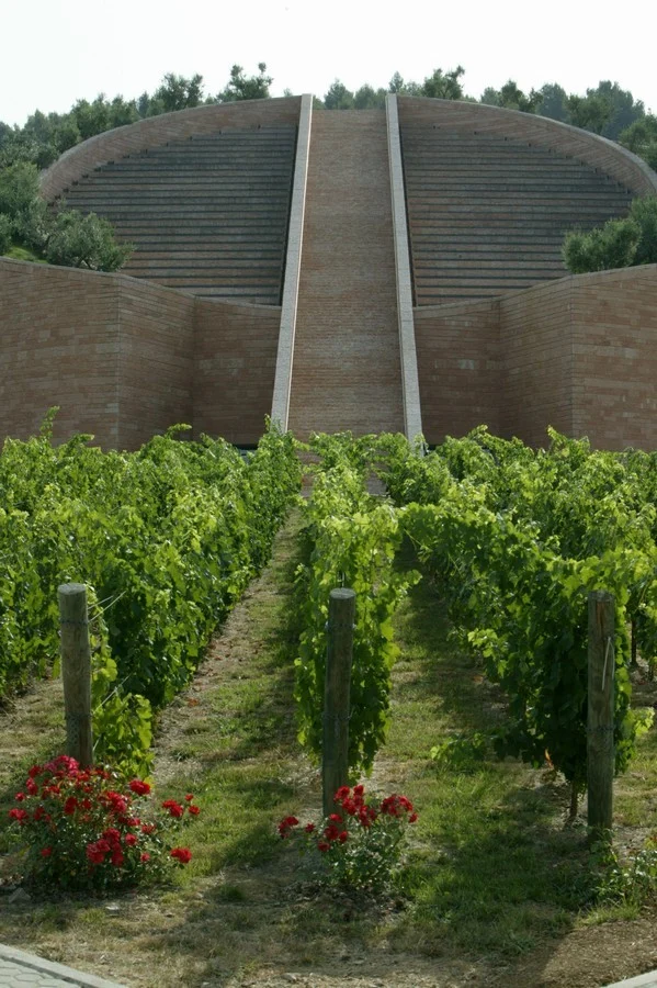 Petra Wine Cellar