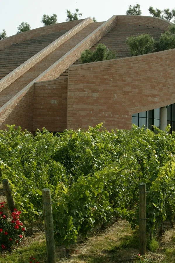 Petra Wine Cellar