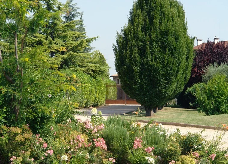 Cantine Pasqua – Giardini