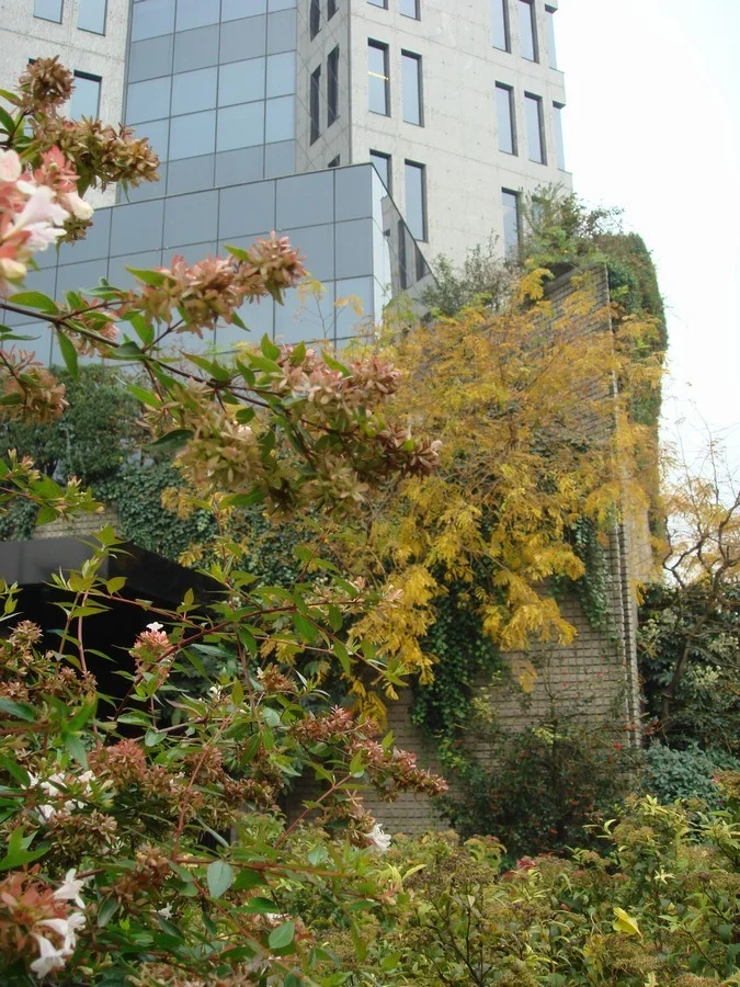 Mediolanum – Giardini aziendali