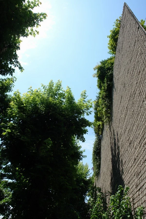 Mediolanum – Giardini aziendali