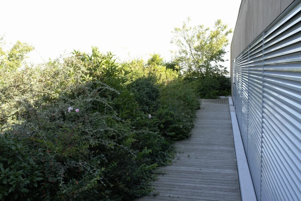 Veneto Banca – Giardini simbolici