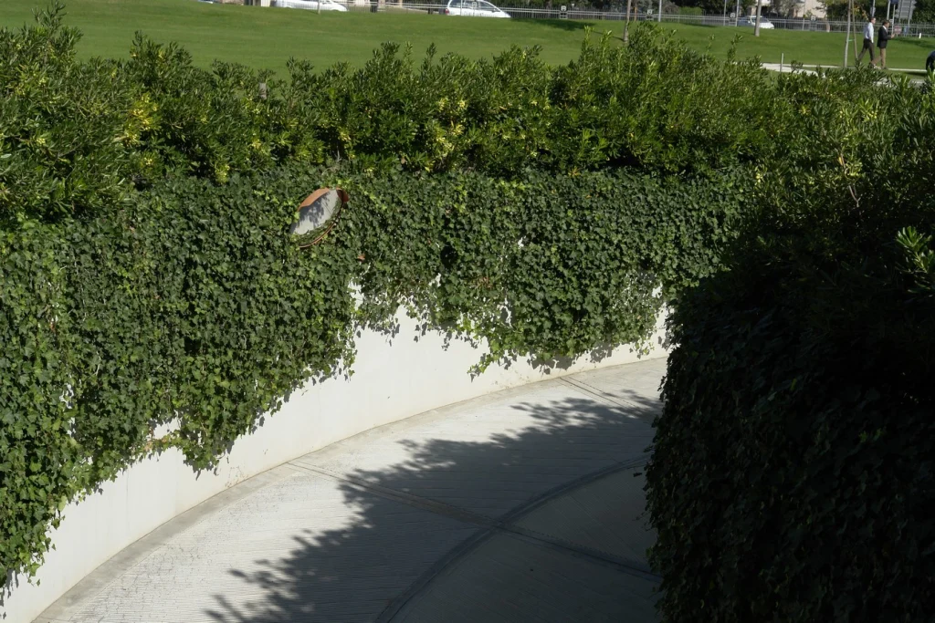 Veneto Banca – Giardini simbolici