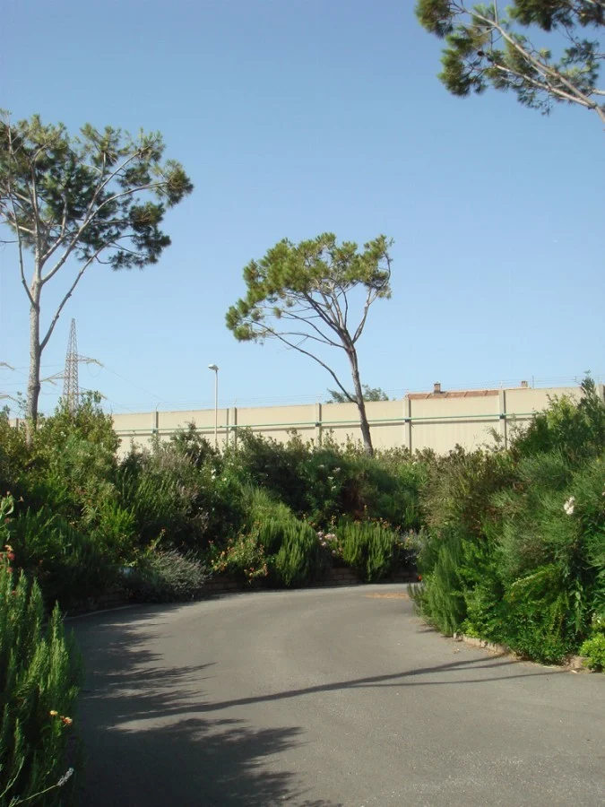 Tirreno Power – Civitavecchia