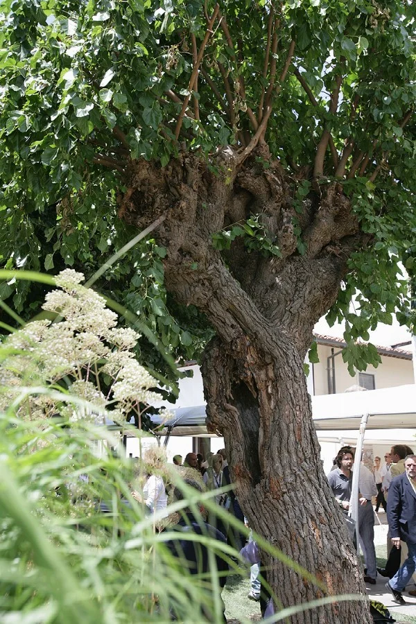 Pitti Uomo – “Please, Stop & Relax” per Lapo Elkann, Italia Independent