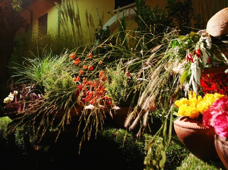 Concert in Piazza Duomo, Milan – “Vegetal tricolours for the Republic’s Day”