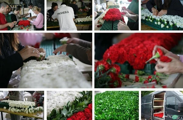 Concert in Piazza Duomo, Milan – “Vegetal tricolours for the Republic’s Day”