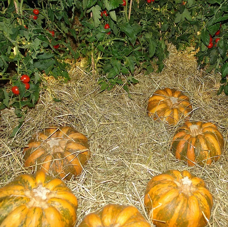 Evento G&B “A piedi nudi nell’Orto”