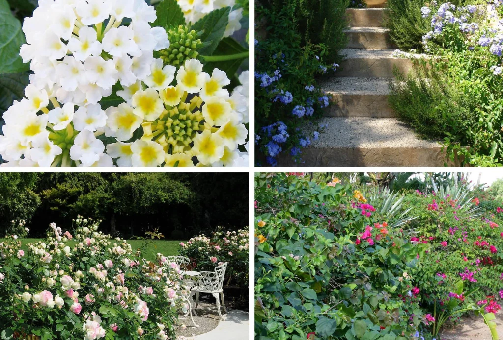 Villa Favorita, Jewel of Sicily
