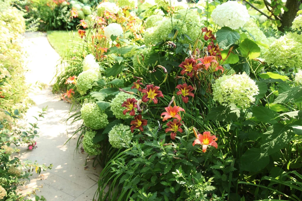 Fioriture spettacolari