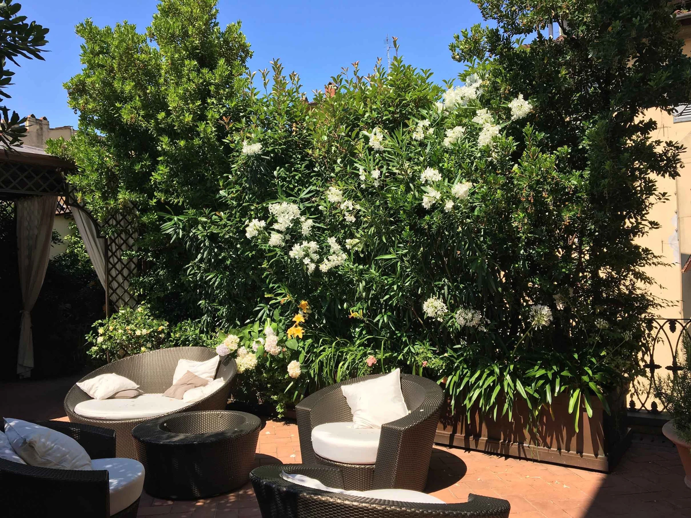 Rustica terrazza – Firenze