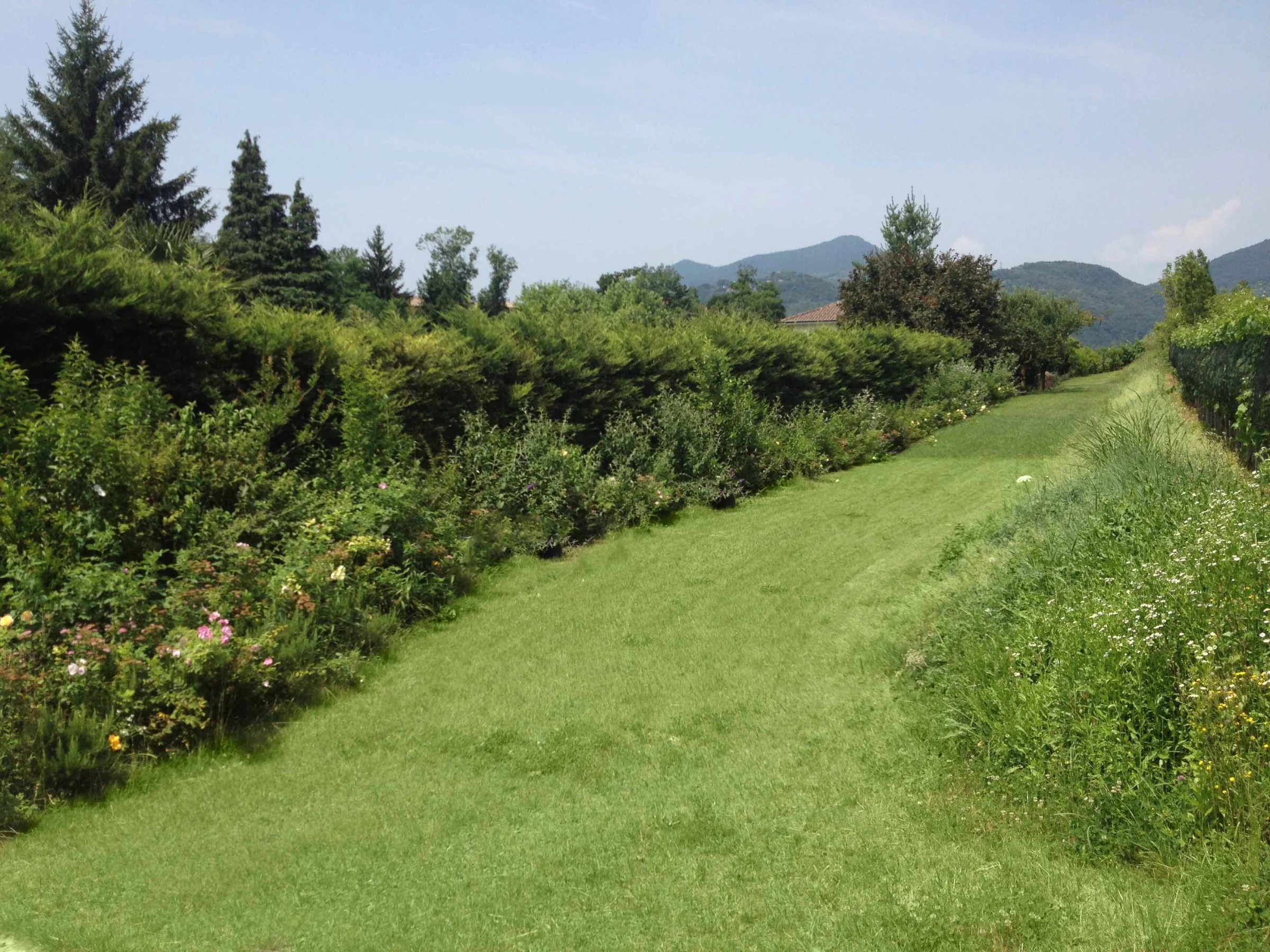 Una villa che riposa tra mille fioriture