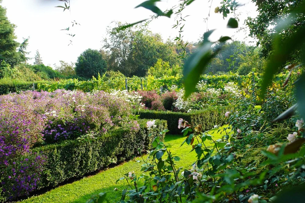 Giardini, tipologie e stili