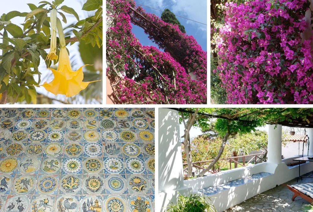 Piccolo sogno Mediterraneo
