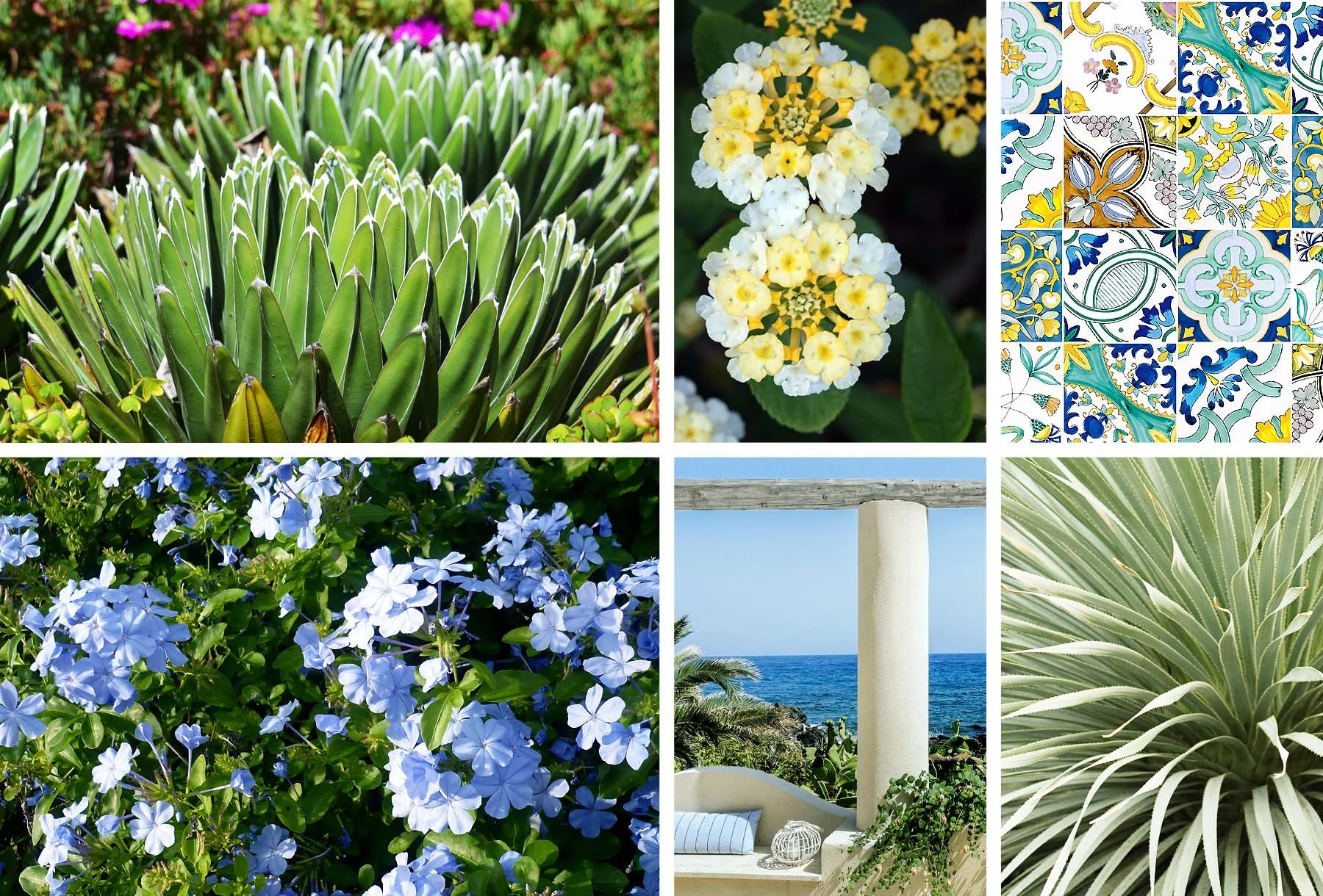 Piccolo sogno Mediterraneo