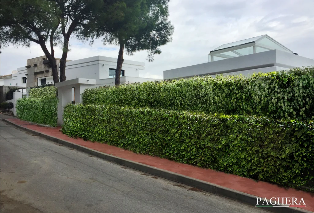 Geometrie moderne