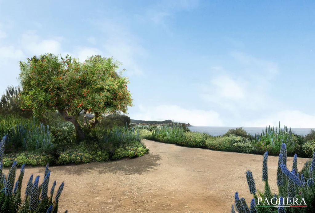 Giardino moderno