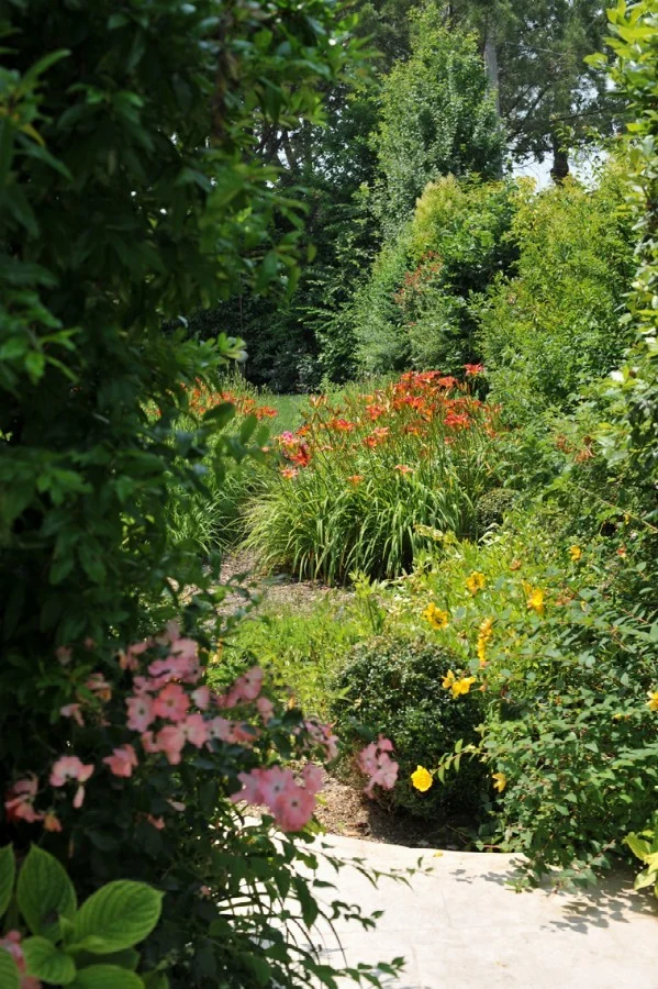 Titianesque Colors in the Embrace of the Pine Forest
