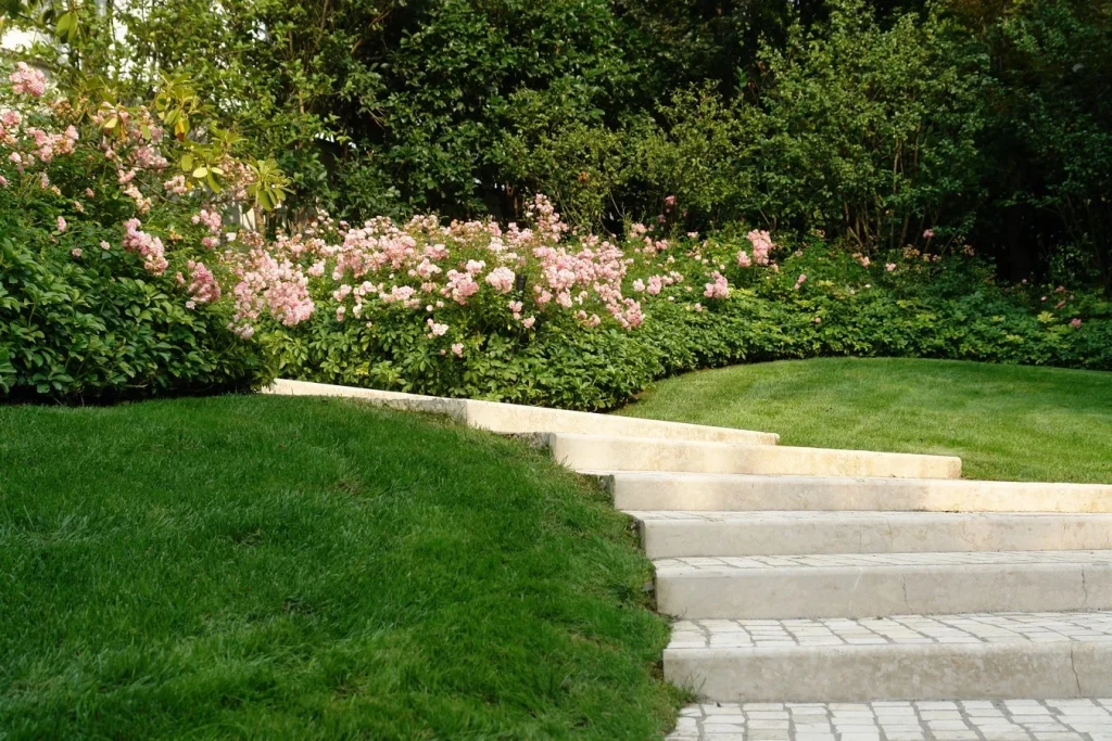 Majesty Arising from the Sand