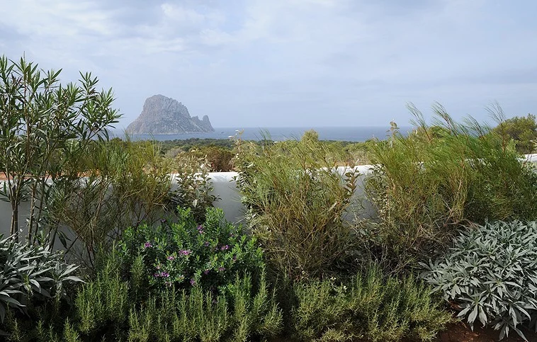 Under the Ibiza Sun
