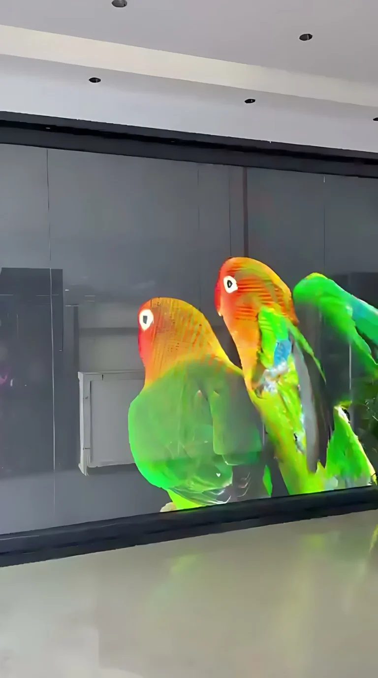 Animazione su una vetrata con schermo LED trasparente