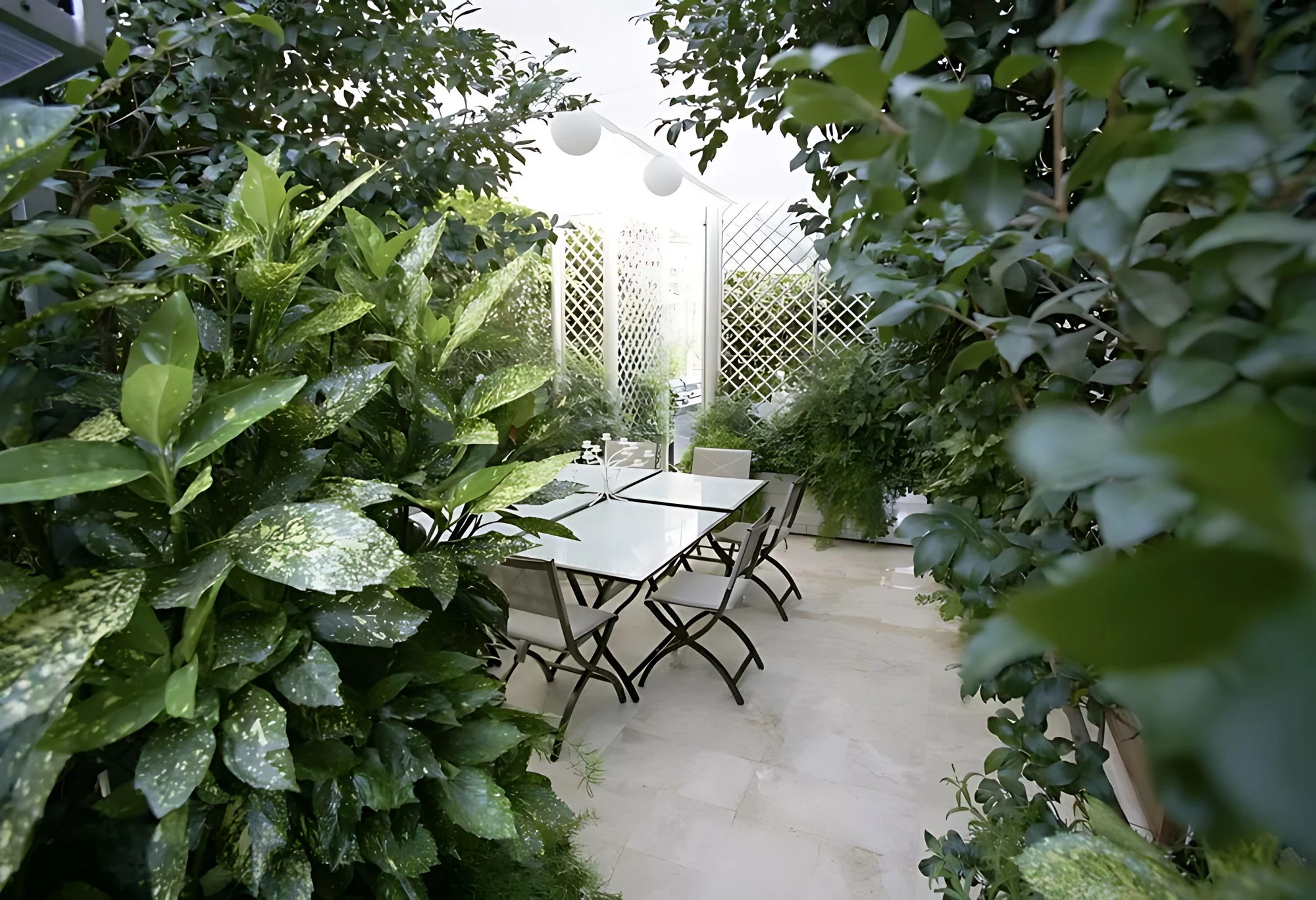 Terrazza a Roma