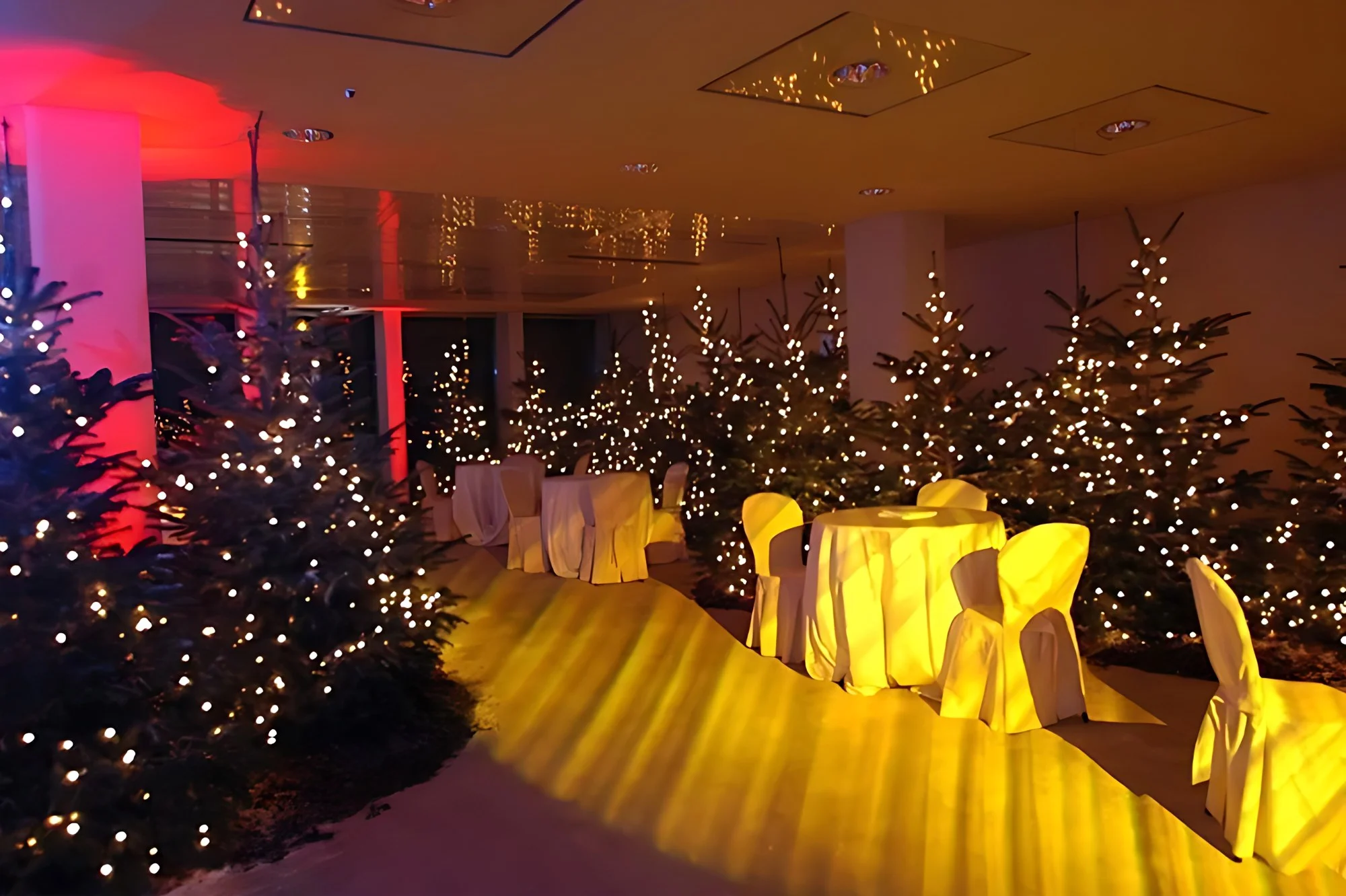Cena Natalizia – “In un bosco di abeti e luci” per Total, sede di Milano
