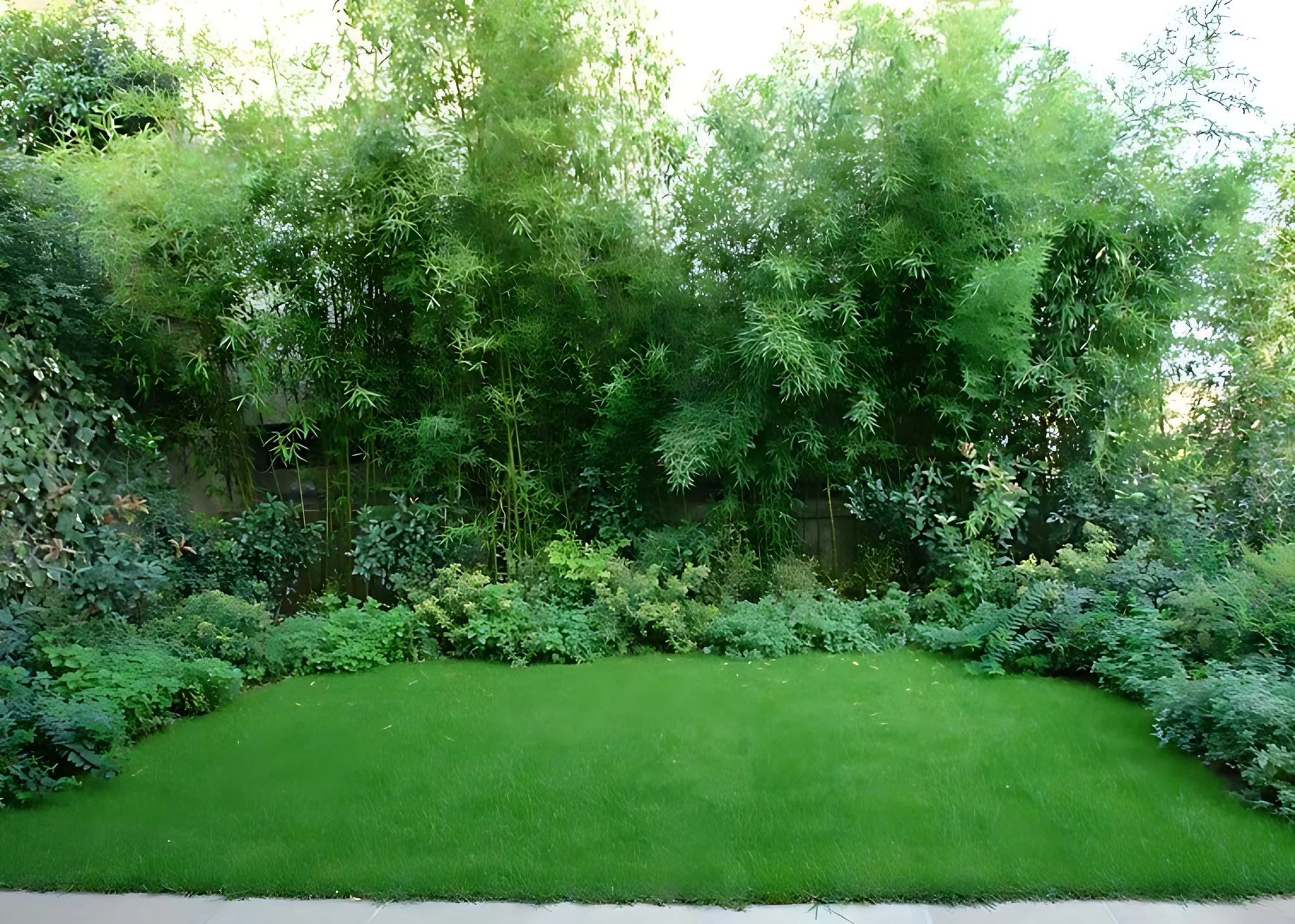Giardino in città