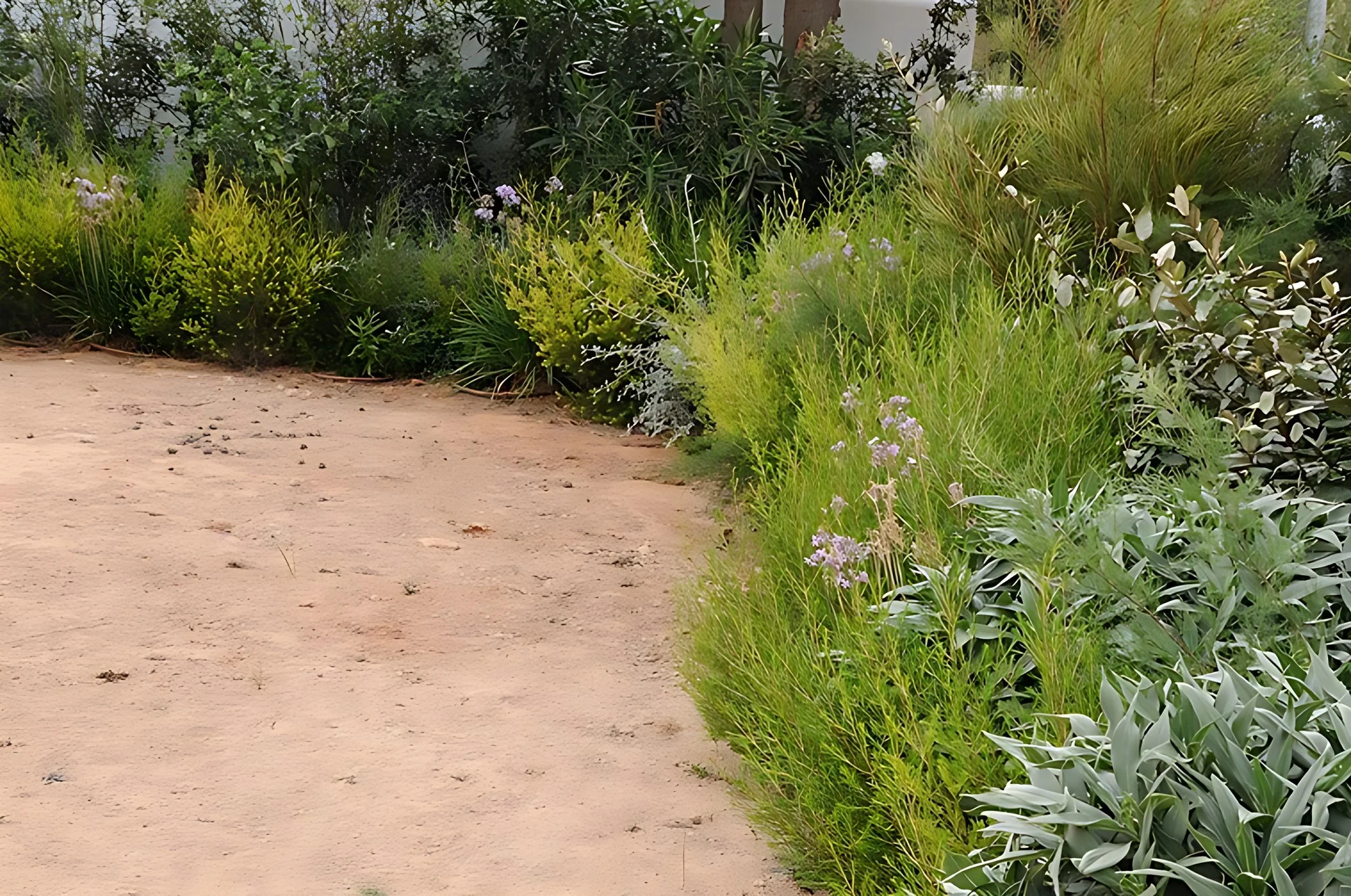 Sotto il sole di Ibiza