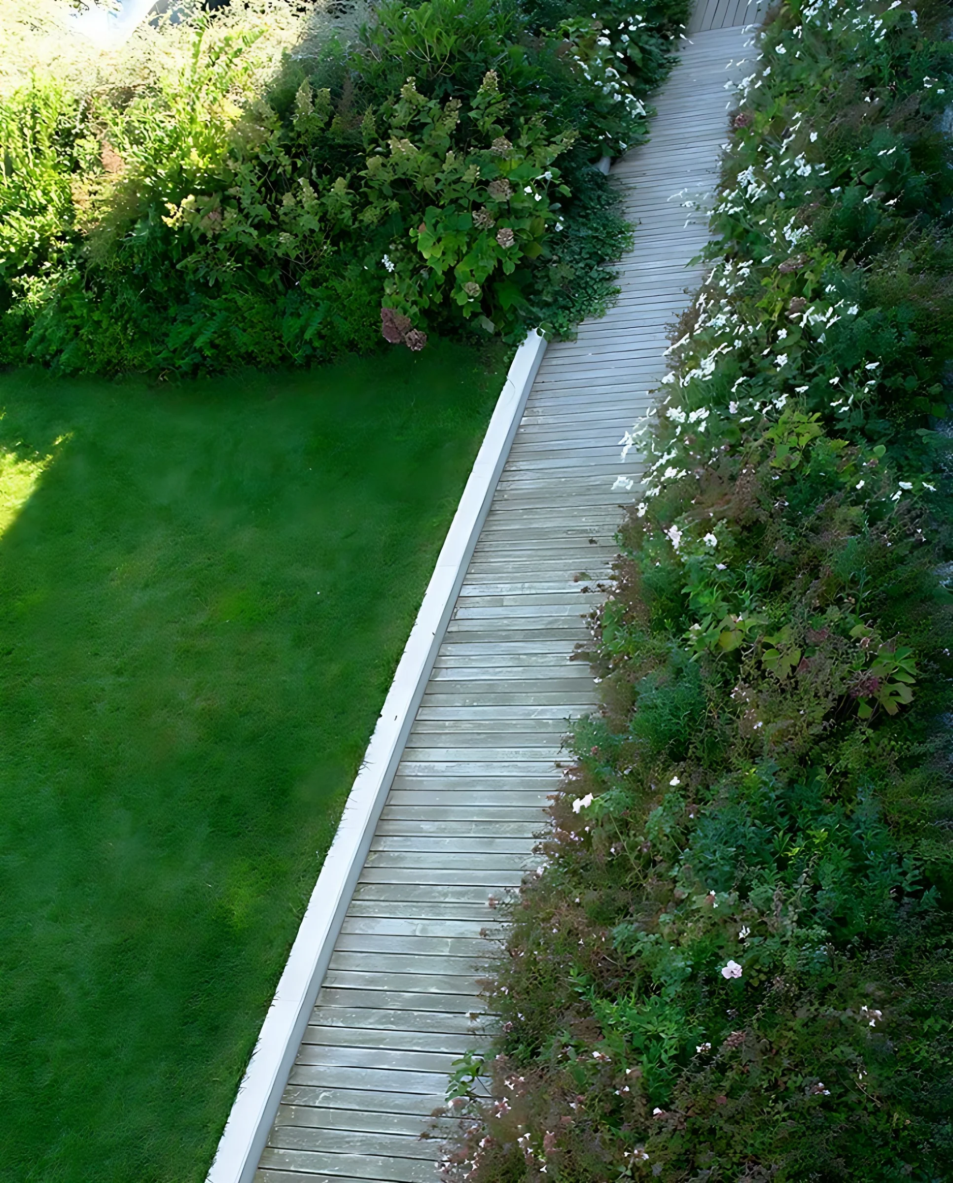 È nato un giardino sul tetto della banca
