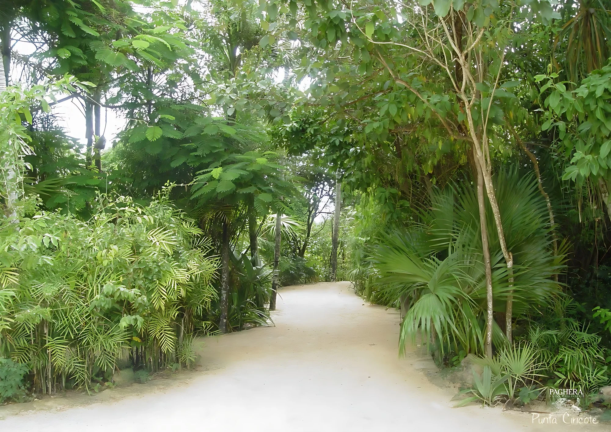 Punta Ciricote – Messico