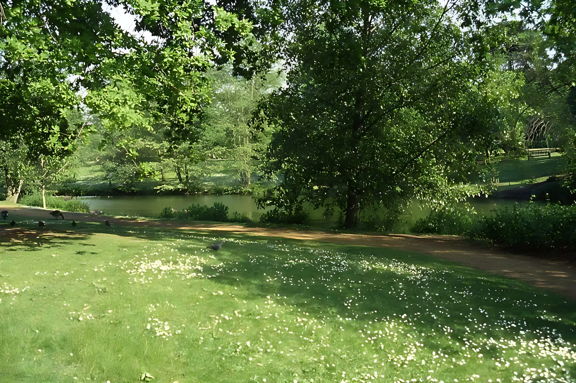Parco Giardino Tenuta Sant’Apollonio – Castel Goffredo (Mantova)