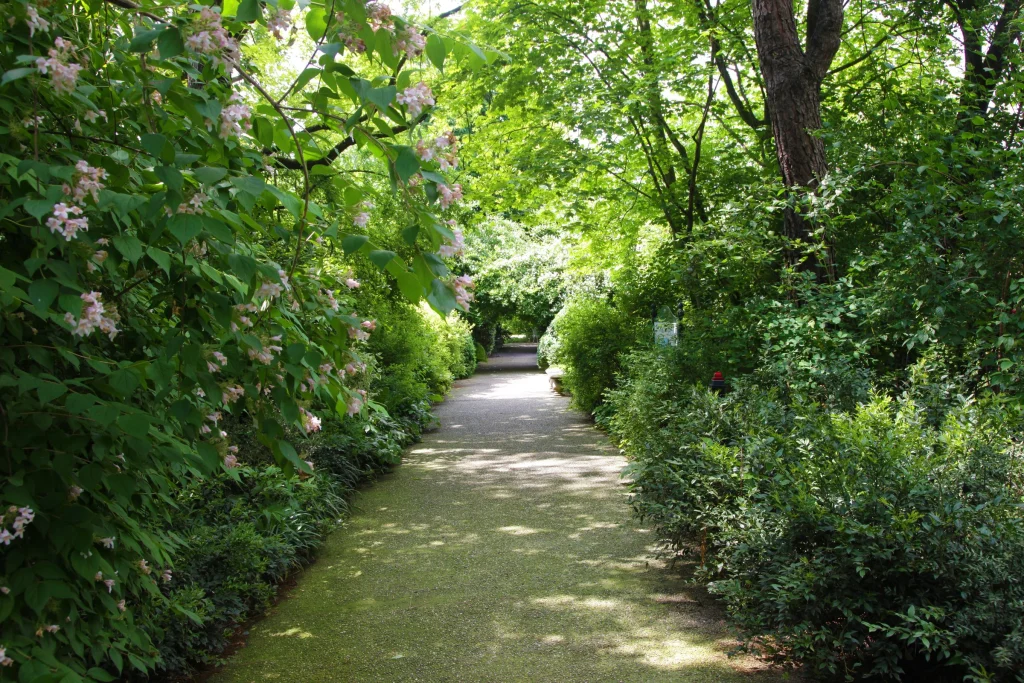 Il parco della sede Paghera a Lonato del Garda