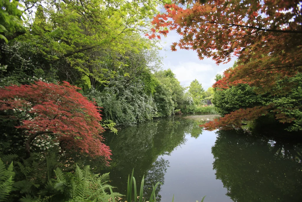Il parco della sede Paghera a Lonato del Garda
