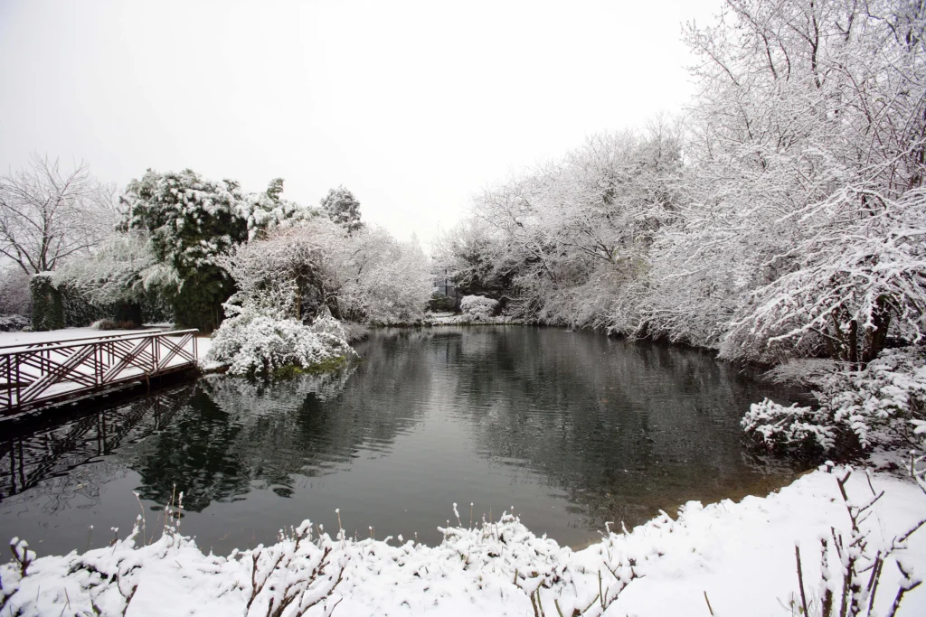 Il parco della sede Paghera a Lonato del Garda