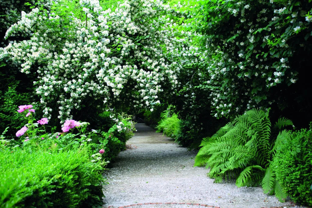 Il parco della sede Paghera a Lonato del Garda