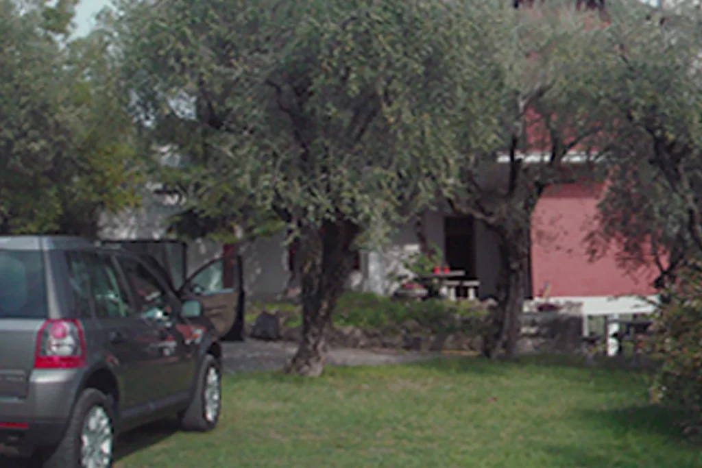 Giardino di villa, prima dei lavori